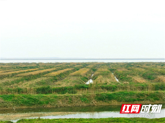 WechatIMG2837_meitu_4.jpg