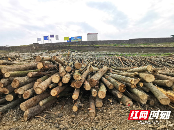 WechatIMG2836_meitu_5.jpg