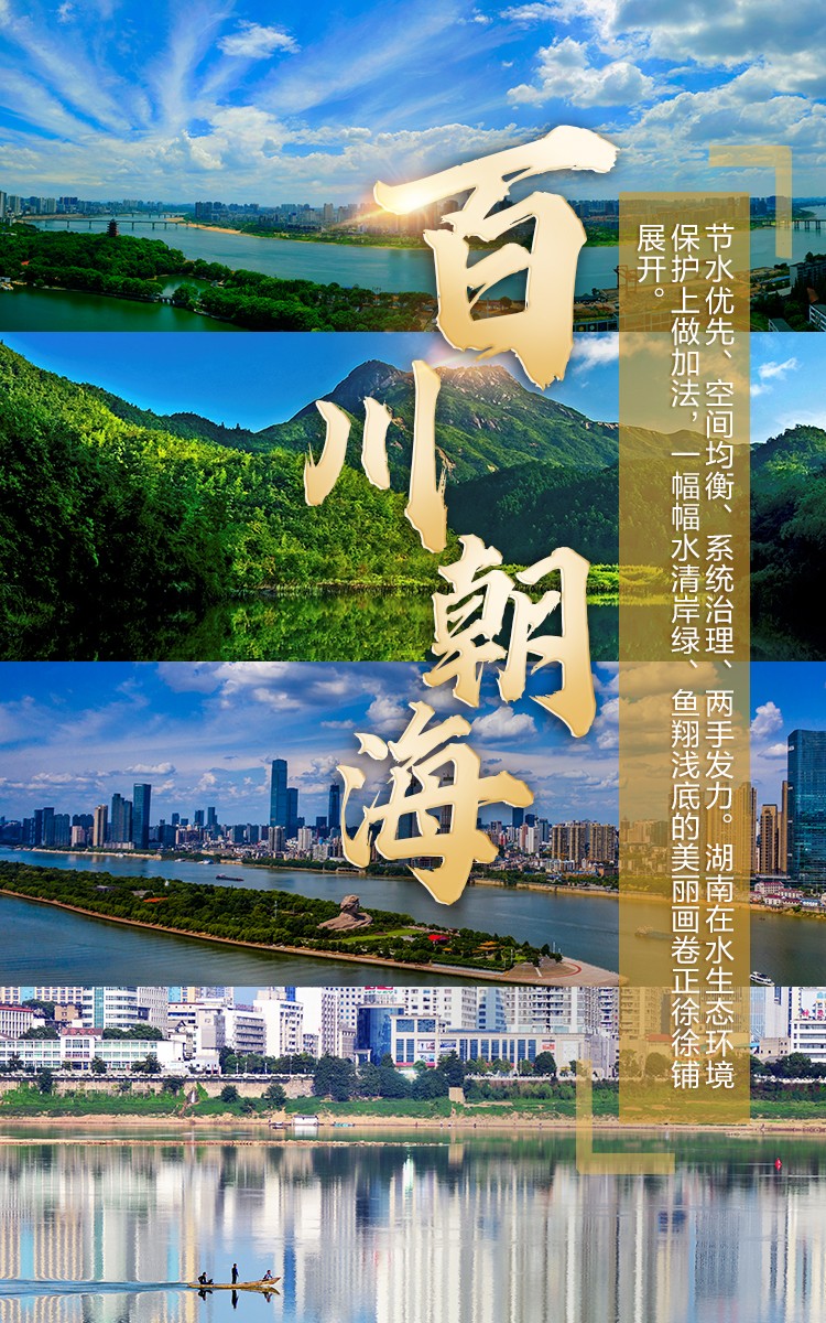 百川朝海.jpg