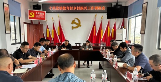 市線上賭博调度十美堂镇教育村乡村振兴工作